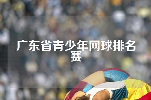 广东省青少年网球排名赛