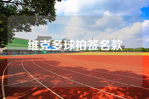 维克多球拍签名款