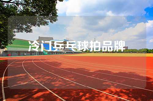 冷门乒乓球拍品牌