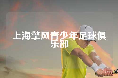 上海擎风青少年足球俱乐部