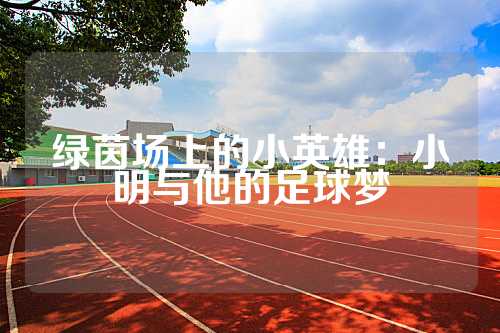 绿茵场上的小英雄：小明与他的足球梦