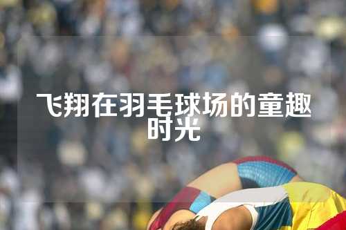 飞翔在羽毛球场的童趣时光