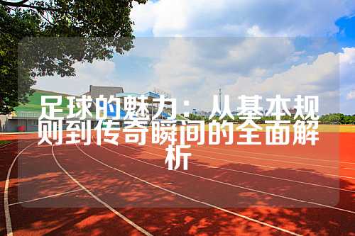 足球的魅力：从基本规则到传奇瞬间的全面解析