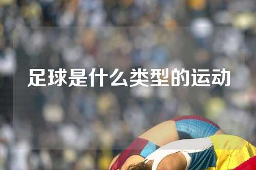 足球是什么类型的运动