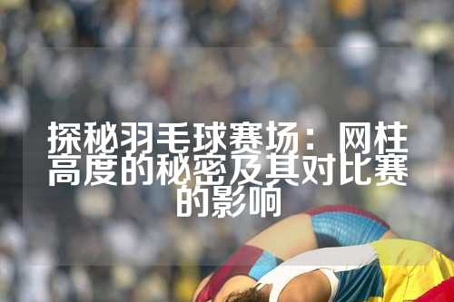 探秘羽毛球赛场：网柱高度的秘密及其对比赛的影响