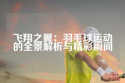 飞翔之翼：羽毛球运动的全景解析与精彩瞬间