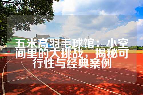 五米高羽毛球馆：小空间里的大挑战，揭秘可行性与经典案例