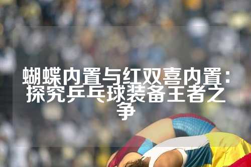 蝴蝶内置与红双喜内置：探究乒乓球装备王者之争