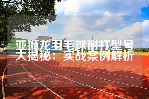 亚狮龙羽毛球耐打型号大揭秘：实战案例解析