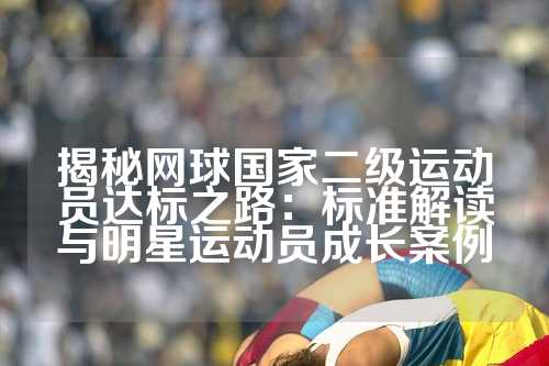 揭秘网球国家二级运动员达标之路：标准解读与明星运动员成长案例