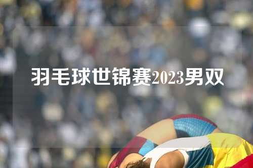 羽毛球世锦赛2023男双