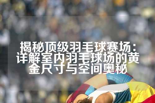 揭秘顶级羽毛球赛场：详解室内羽毛球场的黄金尺寸与空间奥秘
