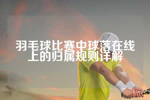 羽毛球比赛中球落在线上的归属规则详解