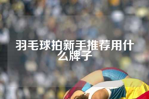 羽毛球拍新手推荐用什么牌子