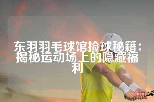 东羽羽毛球馆捡球秘籍：揭秘运动场上的隐藏福利