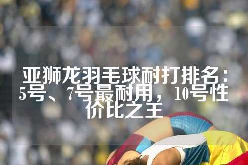 亚狮龙羽毛球耐打排名：5号、7号最耐用，10号性价比之王