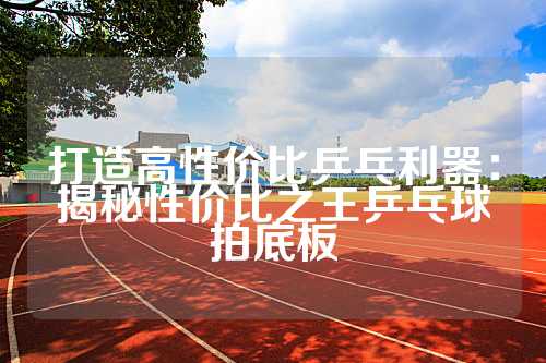 打造高性价比乒乓利器：揭秘性价比之王乒乓球拍底板