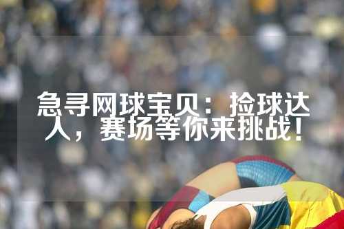 急寻网球宝贝：捡球达人，赛场等你来挑战！
