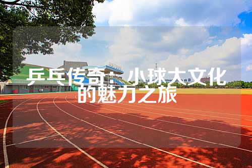 乒乓传奇：小球大文化的魅力之旅