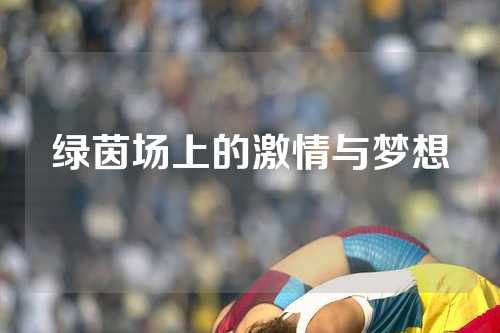绿茵场上的激情与梦想