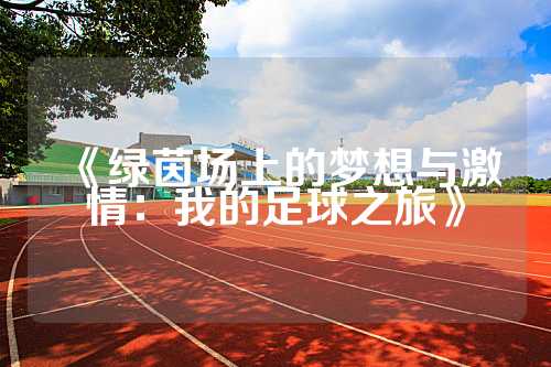 《绿茵场上的梦想与激情：我的足球之旅》