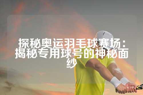 探秘奥运羽毛球赛场：揭秘专用球号的神秘面纱