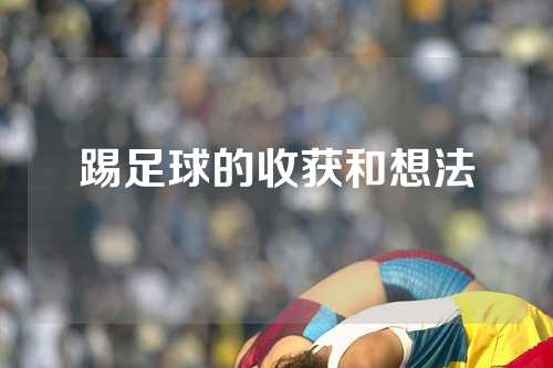 踢足球的收获和想法