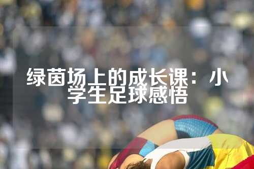 绿茵场上的成长课：小学生足球感悟
