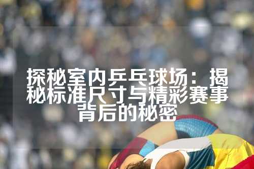 探秘室内乒乓球场：揭秘标准尺寸与精彩赛事背后的秘密
