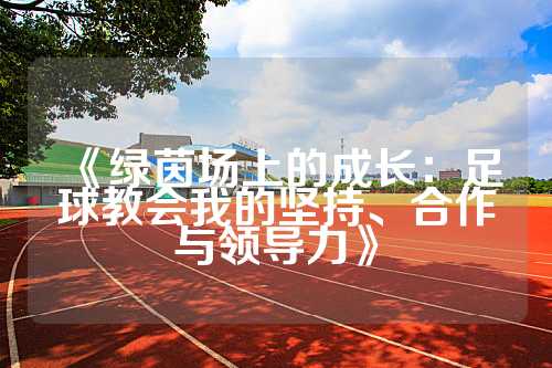 《绿茵场上的成长：足球教会我的坚持、合作与领导力》