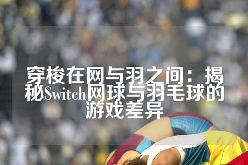 穿梭在网与羽之间：揭秘Switch网球与羽毛球的游戏差异