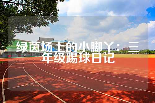 绿茵场上的小脚丫：三年级踢球日记