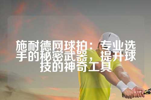 施耐德网球拍：专业选手的秘密武器，提升球技的神奇工具