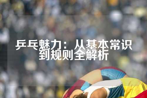 乒乓魅力：从基本常识到规则全解析