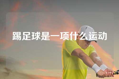 踢足球是一项什么运动