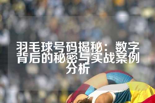 羽毛球号码揭秘：数字背后的秘密与实战案例分析