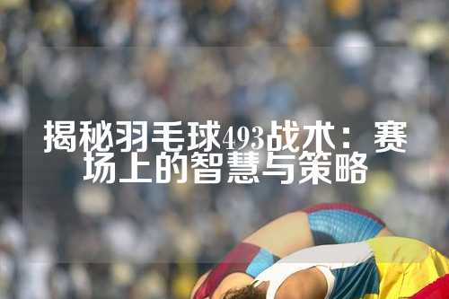 揭秘羽毛球493战术：赛场上的智慧与策略