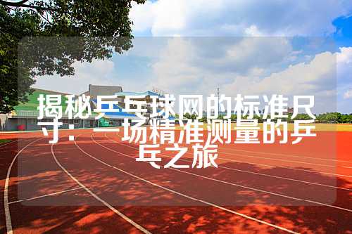 揭秘乒乓球网的标准尺寸：一场精准测量的乒乓之旅