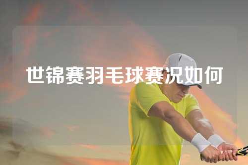 世锦赛羽毛球赛况如何