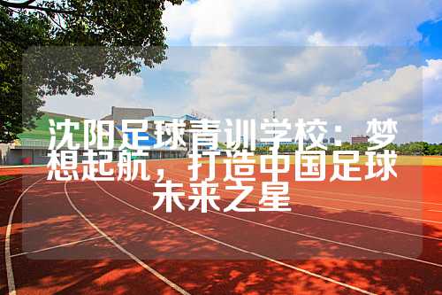 沈阳足球青训学校：梦想起航，打造中国足球未来之星