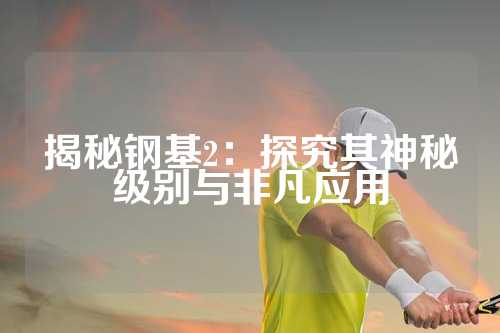 揭秘钢基2：探究其神秘级别与非凡应用