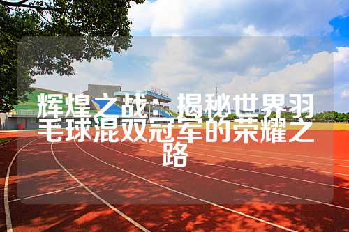 辉煌之战：揭秘世界羽毛球混双冠军的荣耀之路
