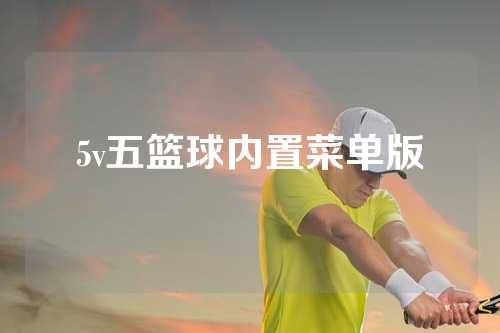 5v五篮球内置菜单版