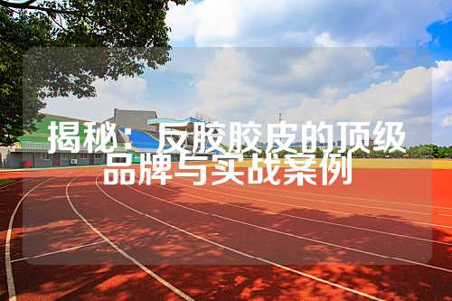 揭秘：反胶胶皮的顶级品牌与实战案例