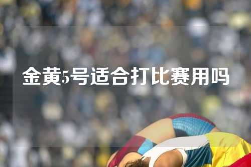 金黄5号适合打比赛用吗