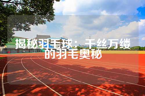 揭秘羽毛球：千丝万缕的羽毛奥秘