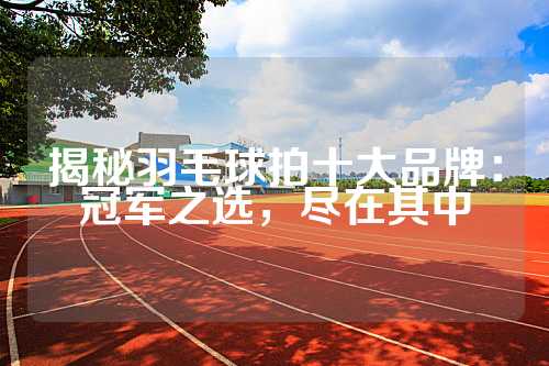 揭秘羽毛球拍十大品牌：冠军之选，尽在其中