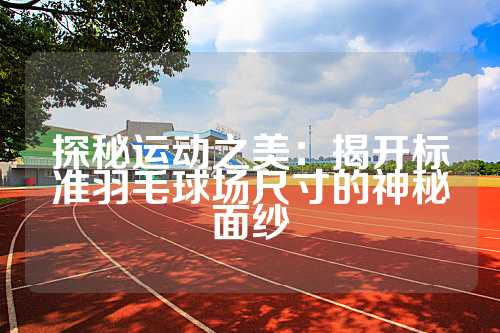 探秘运动之美：揭开标准羽毛球场尺寸的神秘面纱