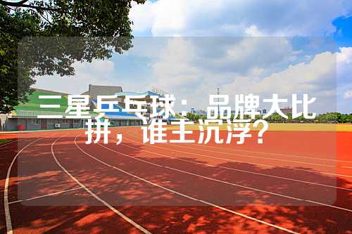 三星乒乓球：品牌大比拼，谁主沉浮？
