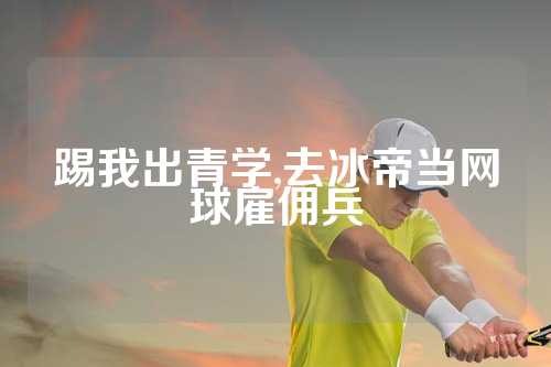 踢我出青学,去冰帝当网球雇佣兵